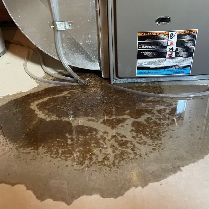 Pipe Burst and Leak Restoration in Parowan, UT