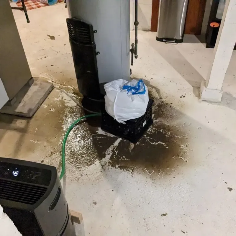Sewage Backup Cleanup Service in Parowan, UT